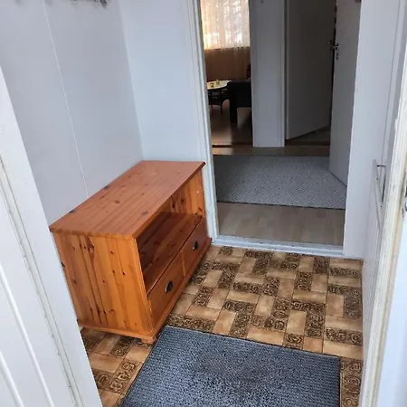 Joutsen Ferienhaus *